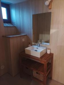 a bathroom with a sink and a mirror at Le refuge de la source in Bussang +46 photos