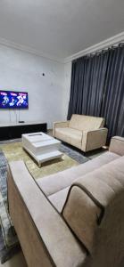 TV a/nebo společenská místnost v ubytování TUT's Place 10