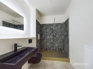a bathroom with a sink and a shower at Royal Haus Chemnitz 3- Balkon nahe Zeisigwald in Chemnitz
