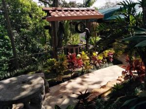 a garden with a bench and some plants at Bromelias in Tambor