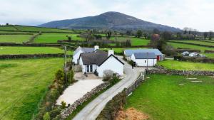 une maison dans un champ avec une montagne en arrière-plan dans l'établissement Carol Cottage, à Kilkeel