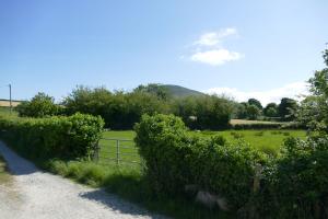 une clôture dans un champ herbeux avec des arbres et un champ dans l'établissement Carol Cottage, à Kilkeel 1 autre photo