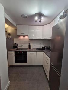 Kuchyň nebo kuchyňský kout v ubytování Apartament Z Widokiem Na Wieżę