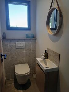 a bathroom with a white toilet and a mirror at T4 Villa SOTTA entre mer et montagnes in Sotta +4 photos