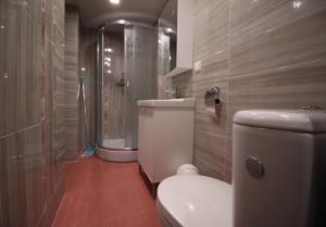 a bathroom with a white toilet and a shower at Giedres Old town studio in Kaunas +5 photos