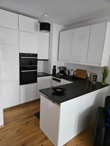 Kuchyňa alebo kuchynka v ubytovaní Biała Perła Apartment