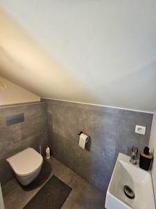 a bathroom with a toilet and a sink at Habitación con cocina en Gante in Ghent
