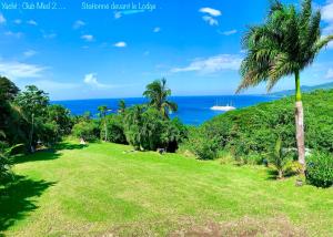 a park with a palm tree and the ocean at LODGE COLIBRIS Piscine Privée vue panoramique mer et montagne pelée , 500 m plage dans un parc , Calme assuré Idéal pour découvrir le nord Caraïbes in Le Carbet