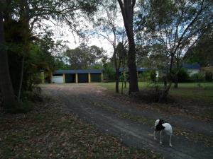 Fotografie z fotogalerie ubytování Shady Grove B&B v destinaci Hervey Bay