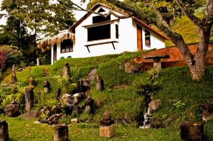 Κήπος έξω από το Cuarto 2