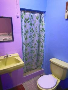 グラナダにあるDeakachimba Hostelのギャラリーの写真