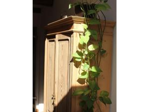 صورة لـ Holiday apartment with 2 bedrooms في هاسلفيلد