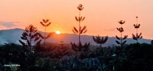 a sunset over a field with plants in the foreground at Borapami Estates in Melinda Airstrip