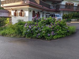 un cespuglio di fiori viola di fronte a una casa di ホテル竜王ヴィレッヂ a Yamanouchi Altre 2 foto