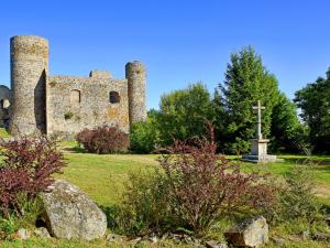 Zahrada ubytování Charmant gîte à la ferme avec terrasse, proche Loire, Allier, Puy de Dôme, animaux bienvenus - FR-1-496-235