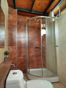 une cabine de douche dans une salle de bain avec toilettes dans l'établissement Mi alma deptos, à Mendoza