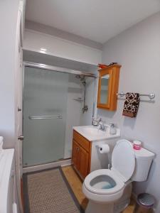 a bathroom with a shower and a toilet and a sink at Velocity Residence in Worcester +20 photos