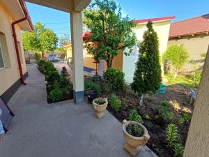 a yard with pots of plants and a house at Cazare Schitul Sf Gherasim in Cobadin