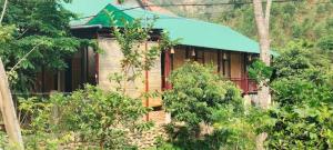 a house in the middle of a forest at Thu May Homestay A Lưới in A Lưới (1)