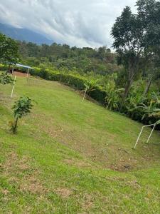 Billede fra billedgalleriet på Finca Villa Julia i La Vega + 32 billeder