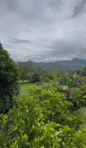 Billede fra billedgalleriet på Finca Villa Julia i La Vega