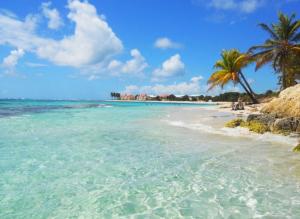 a beach with two palm trees and the ocean at Villa SAINT BARTHELEMY in Saint-François