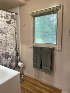 哥德伍德Chalet Gallery - Enjoy Two Units with this Chalet in the Heart of Alyeska - Walk almost anywhere!的一间带水槽的浴室和一个带毛巾的窗户。 更多36张照片