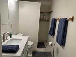 Chalet Gallery - Enjoy Two Units with this Chalet in the Heart of Alyeska - Walk almost anywhere!的一间浴室