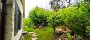 a view of a garden from a window of a house at Forest Hide Tiny House in Covasna