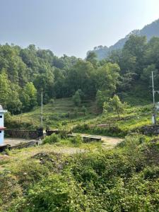 vista su una collina con alberi sullo sfondo di Lake forest guest house a Pokhara