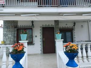 Exteriér nebo vchod ubytování Dolphin Paradise Sozopoli