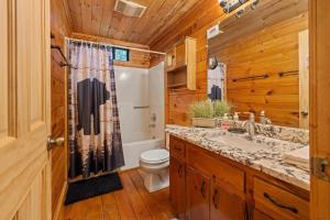 a bathroom with a toilet and a sink and a shower at Cherry Lake Hideaway in Blue Ridge +40 photos