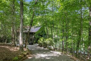 a path leading to a cabin in the woods at Cherry Lake Hideaway in Blue Ridge