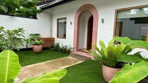 Vườn quanh Villa Maria