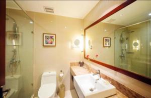 杭州Yitel Collection Hangzhou Binjiang Jiangnan Avenue Baolongcheng的带水槽、马桶和镜子的浴室