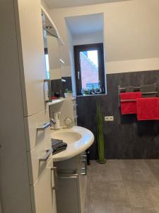 a bathroom with a sink and a mirror at Ostfrieslandsuite in Aurich