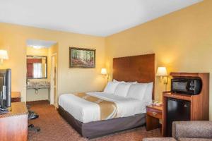 a hotel room with a bed and a television at Quality Inn Calera I-65 exit 231 in Calera