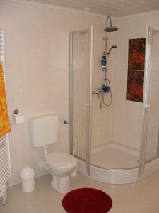 a bathroom with a shower and a toilet at Ferienwohnung Ambrosia in Bad Birnbach
