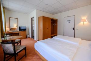 TV a/nebo společenská místnost v ubytování Hotel Rebschule