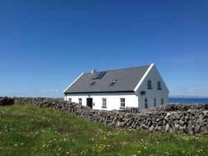Loodusmaastik of the country house lähedal