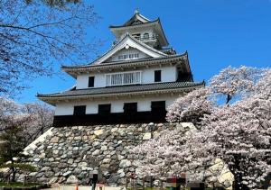 a tall tower withakura trees in front of it at ゲストハウス長浜 グループ旅行や家族旅行カップルでのご利用におすすめです in Nagahama