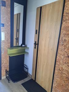 a room with a fireplace and a mirror and a door at Green apartament 21 in Oświęcim +8 photos