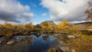 een vijver in een veld met een berg op de achtergrond bij Wilderness Hut Lake Tsahkal in Kilpisjärvi