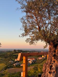 a tree on top of a hill with a view at Il Tramonto - Deluxe Apartments in Roncofreddo