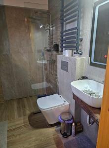 a bathroom with a sink and a toilet and a shower at Kesane in Ozurgetʼi +38 photos