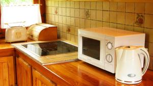 a microwave on a kitchen counter next to a blender at Dom z Bali Paweł nad jeziorem Tajty in Giżycko