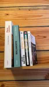 Knihovna v prázdninového domu