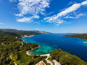 an aerial view of a bay with boats in the water at Alka Hvar in Stari Grad