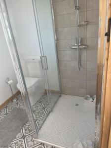 une douche avec une porte vitrée dans une salle de bain dans l'établissement Carol Cottage and Master Suite, à Kilkeel