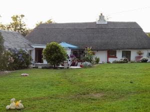 Zahrada ubytování Aisling Cottage + 10 fotografií
